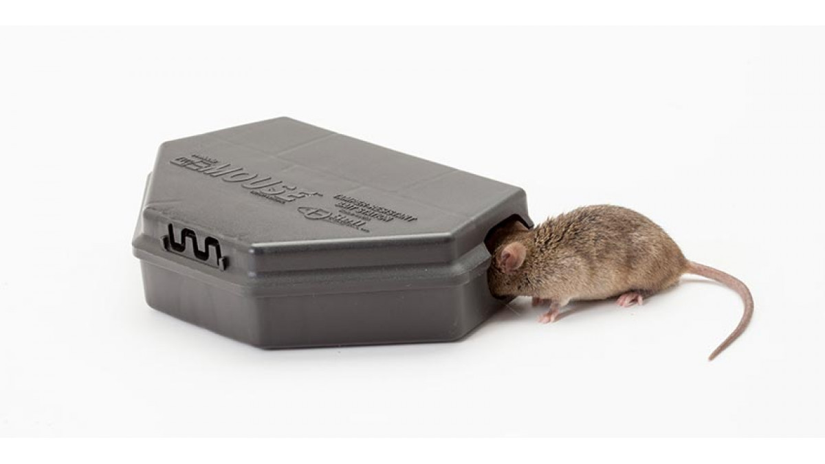 Bell Labs Protecta EVO Mouse Bait Stations Box